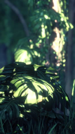 close up shot of green leaves in a tropical forest