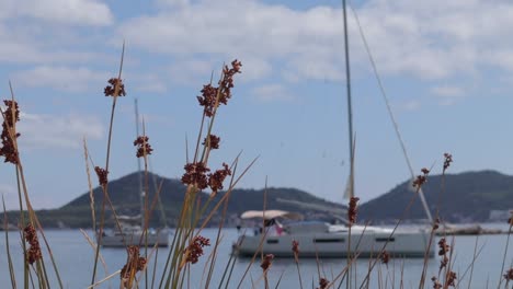 Close-view-of-the-boat-parked-in-the-shore--Croatia