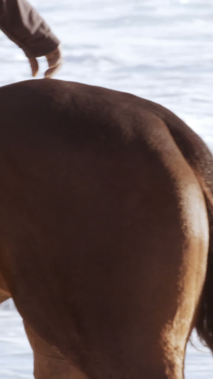 Homem a cavalo na praia
