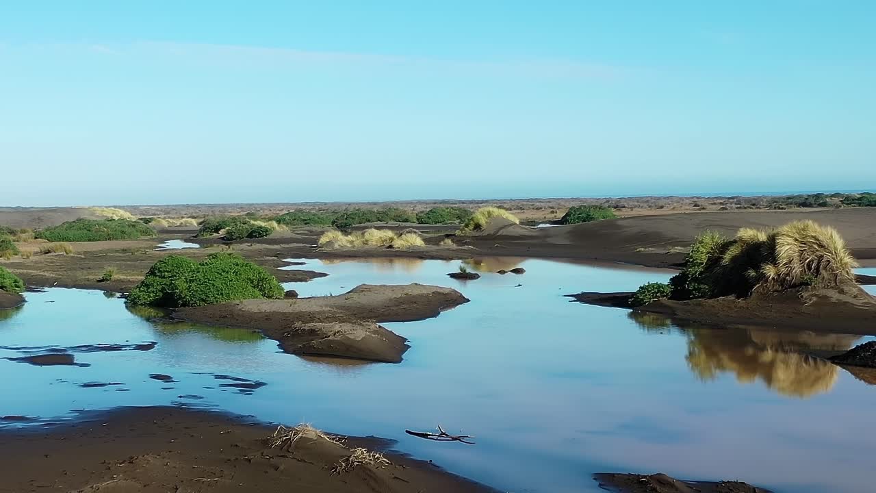 Exploring the wetlands and coastal views in Chile under clear skies