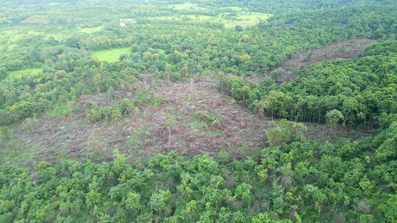 muchos árboles han sido cortados en el bosque malvan drone tiro