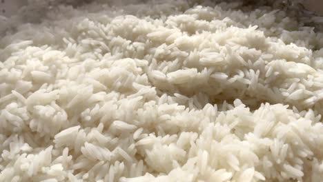 close up view of freshly steamed rice