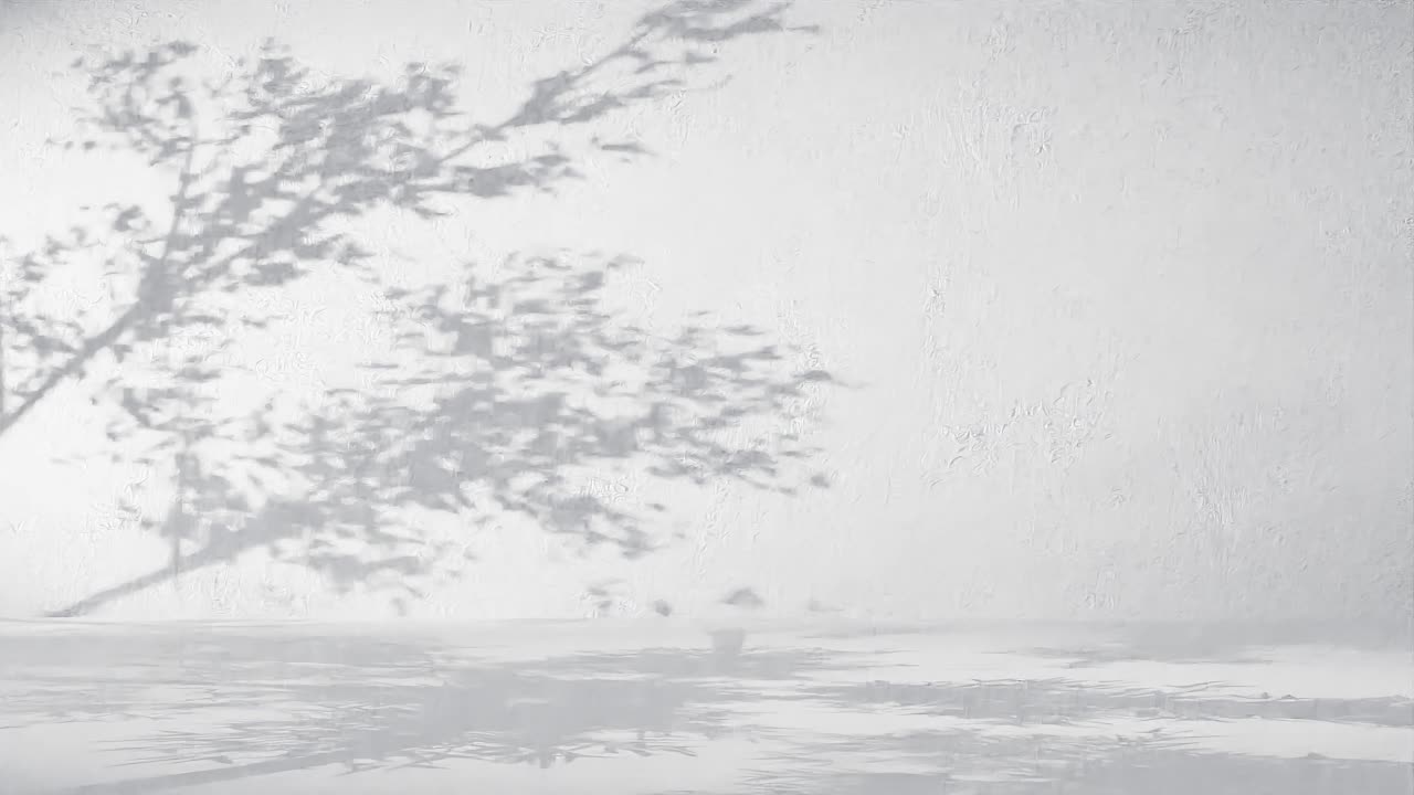 a Tree branches shadow on textured white wall. Nature silhouette concept