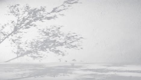 a tree branches shadow on textured white wall. nature silhouette concept