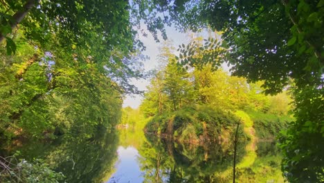 beautiful reflection of trees and sky in the