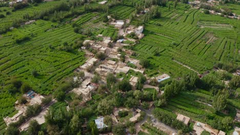 Flying-High:-Aerial-Tour-of-Turpan-Grape-Valley,-Putaogou-,-Xinjiang,-China