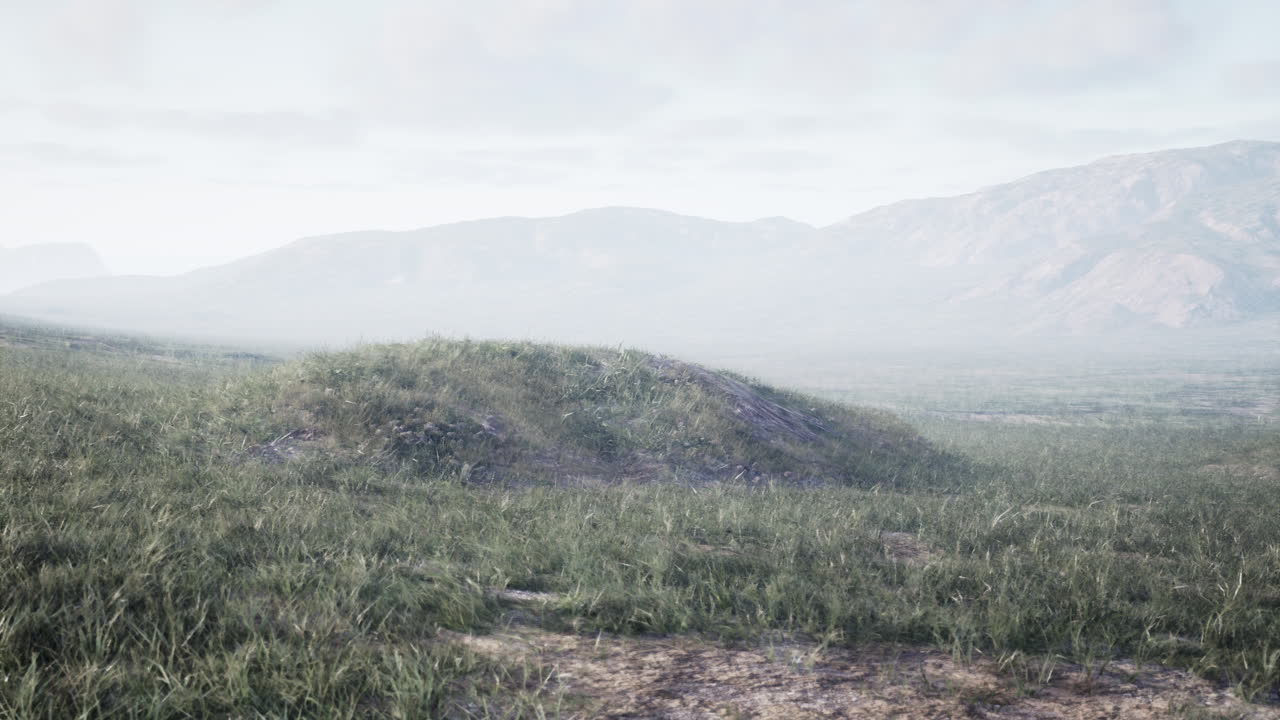 una vista panorámica de un campo de hierba con montañas en el fondo