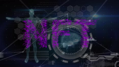 nft의 애니메이션: 인간 모델, 뇌 및 연결, 해군 배경