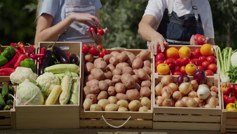 Eine-ältere-Bäuerin-Und-Ihre-Enkelin-Legen-Gemüse-Der-Saison-An-Der-Markttheke-Des-Bauern-Aus.