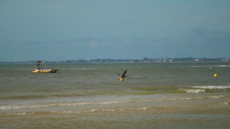 Aves-Marinas-Deslizándose-Sobre-Las-Olas-Del-Océano-Con-Botes-Y-Motos-De-Agua-En-El-Fondo,-Cámara-Lenta