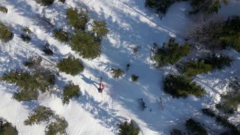 Aerial-birds-eye-shot-of-active-cross-country-skier-in-snowy-forest-at-sunlight