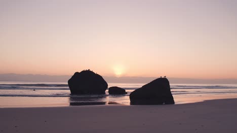 sunrise at newdicks beach in new zeland with seabirds on rock boulders