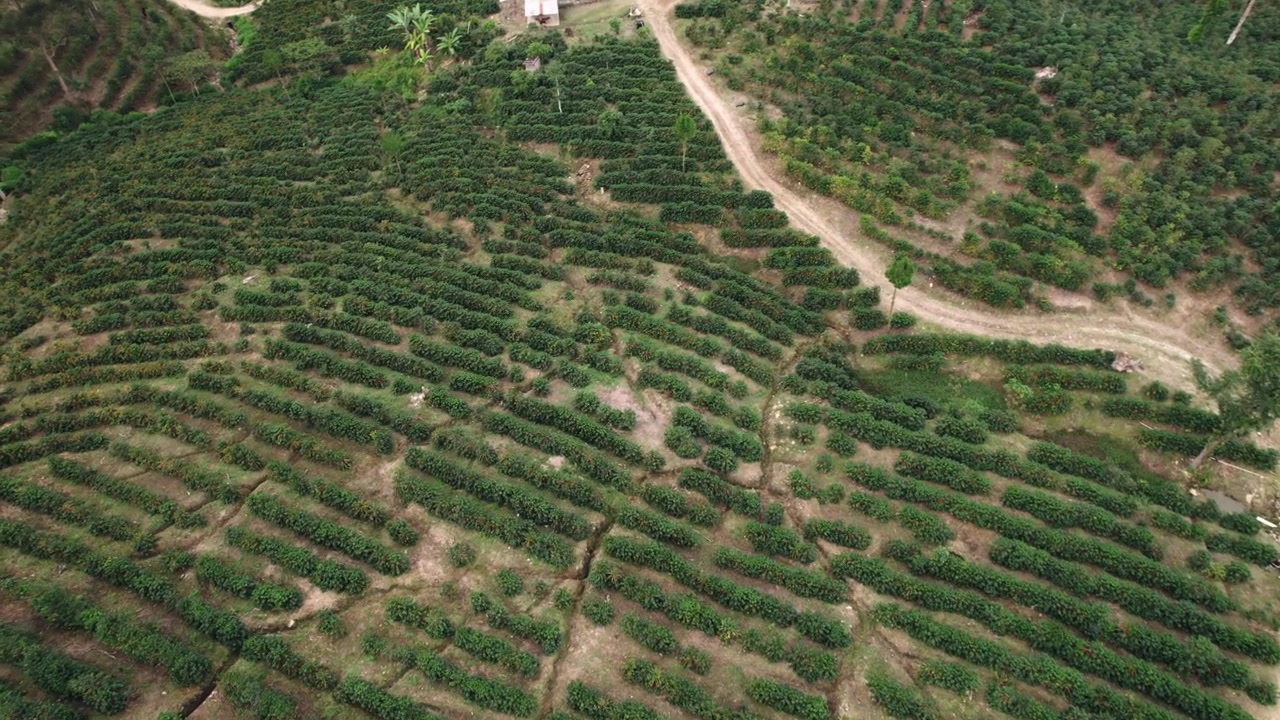 Top-down drone footage of winding dirt roads crossing through green forested hillsides in the countryside.