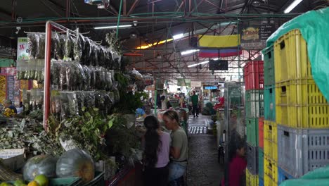 farms local market at morning wide shot