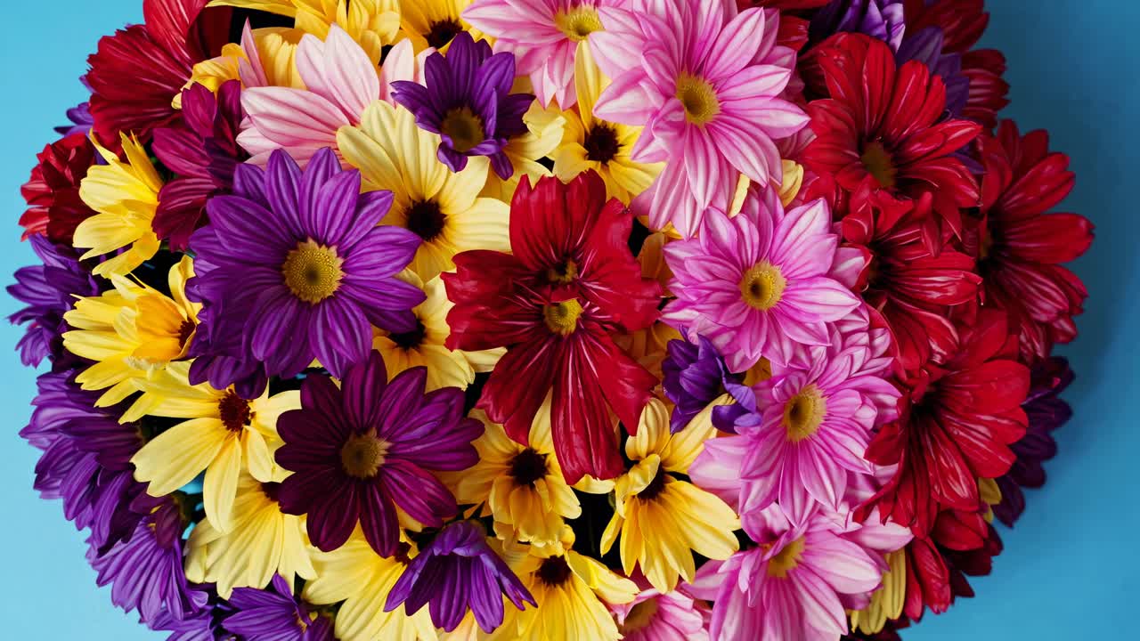 Top-down view of a vibrant flower bouquet against a blue background, perfect for a colorful