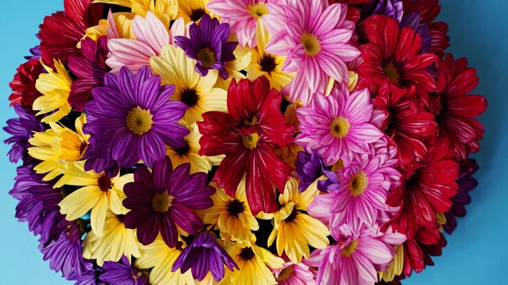Vista cenital de un ramo de flores vibrante sobre un fondo azul, perfecto para un componente visual colorido