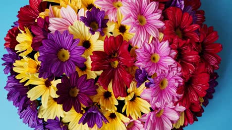 top-down view of a vibrant flower bouquet against a blue background, perfect for a colorful