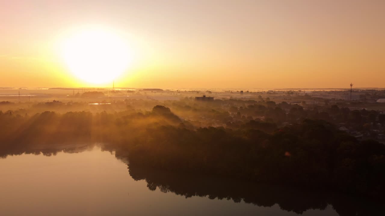 Fog rising in a forest during a beautiful idyllic sunrise