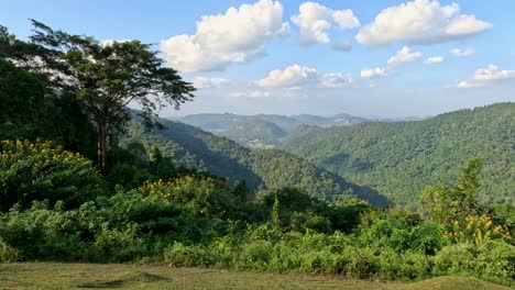 panoramic views of lush green mountains
