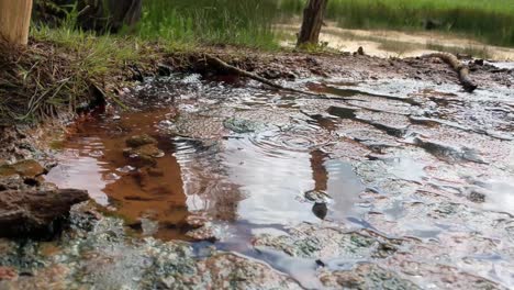 Natural-springs-at-Mount-Rainier-National-Park-on-the-Longmire-trail,-methane-bubbles,-carbon-dioxide,-sulfur-smell,-non-potable-water