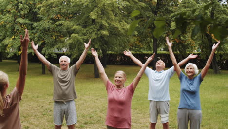 active elderly people having group fitness class in park