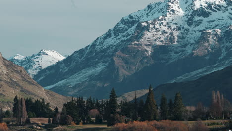 Vista-Panorámica-De-Un-Bosque-Con-Montañas-Nevadas-Durante-El-Invierno-En-Queenstown,-Nueva-Zelanda