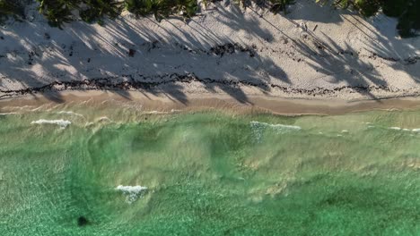 Vista-Aérea-Sobre-Las-Olas-Golpeando-Una-Playa-Paradisíaca-En-Xpu-Ha,-México---Ascendente,-Ojo-De-Pájaro,-Disparo-De-Drones