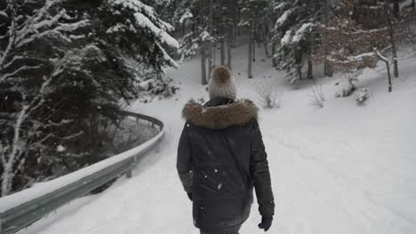 hombre anónimo con ropa abrigada caminando por un bosque nevado