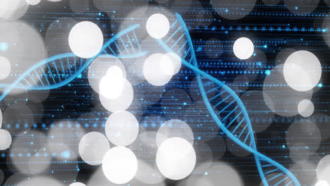 Animation-of-dna-strands-over-data-processing