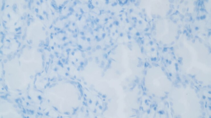 Virus Structure Under A Microscope 6