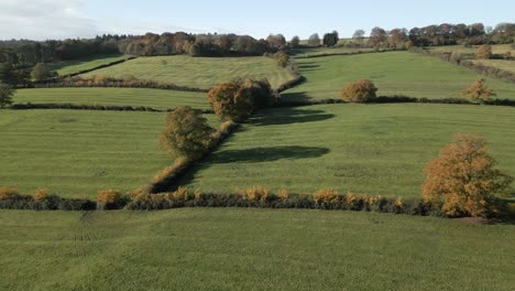 Cotswold-Landschaft,-Luftbild,-Herbstlandschaft,-Grasfeld,-Historische-Wiesen,-Hecken,-Bäume,-Englisch,-Vereinigtes-Königreich