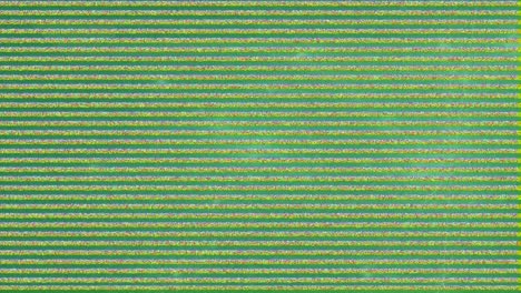 Animation-of-network-of-connections-over-interference