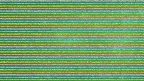 animación de la red de conexiones a través de interferencias