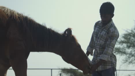 a south asian man petting and feeding a brown horse in barn