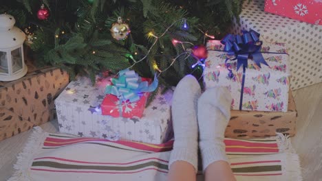 cálidos pies de navidad junto al árbol