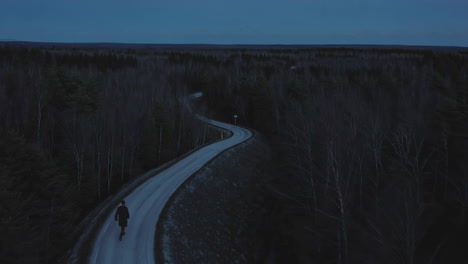 a lone figure on a winding road through a dark forest