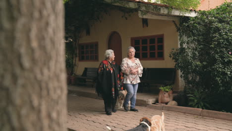 Senior-sisters-walking-with-dogs-in-park