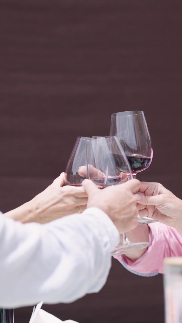 Group of Friends Toasting with Red Wine Glasses