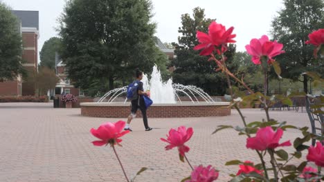 university student walks to class in scenic plaza