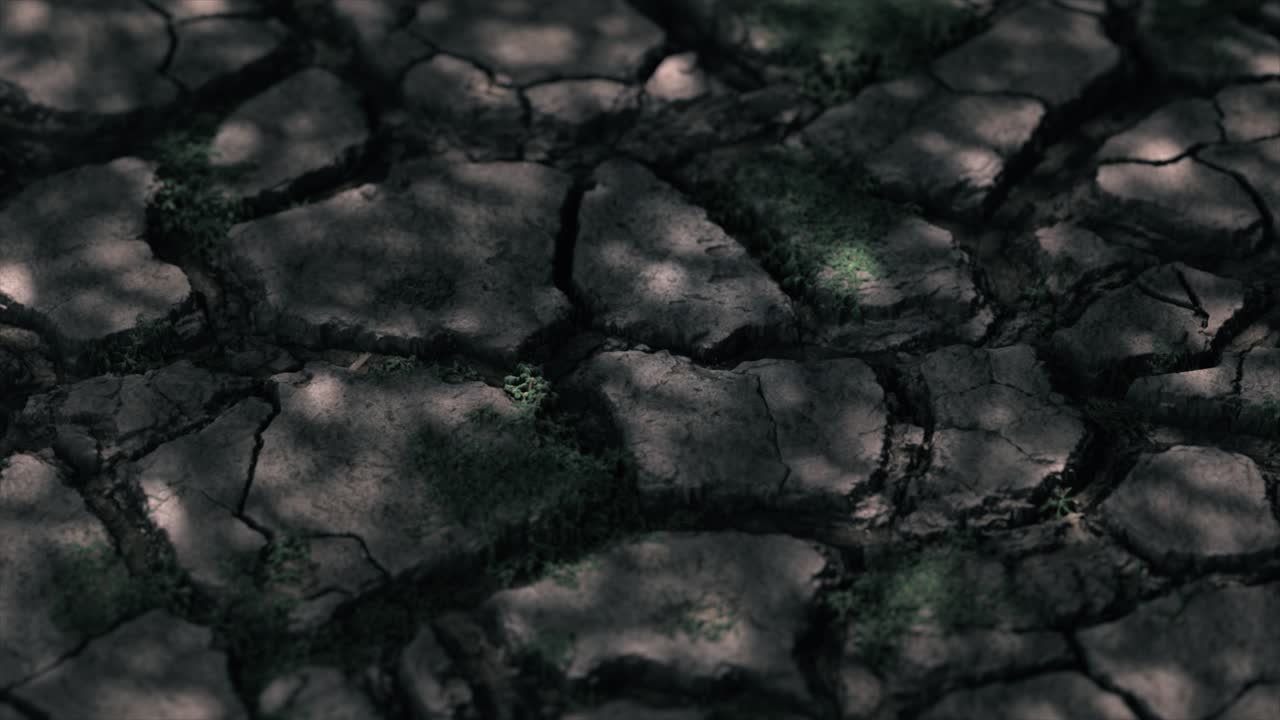 tierra agrietada con escasa vegetación