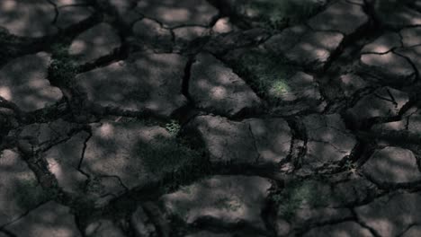 cracked earth with sparse vegetation
