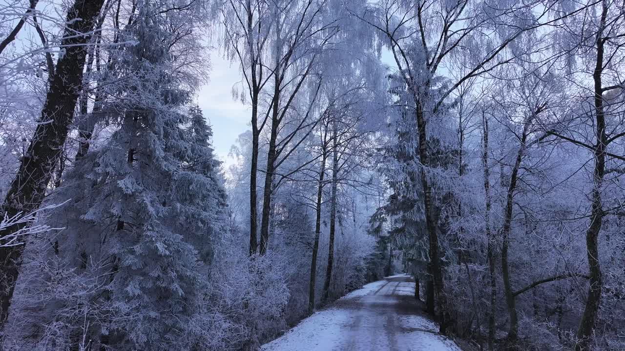 A winter wonderland near Walenstadt, Switzerland. A winding path through a snow-covered forest invites exploration and a sense of tranquility.