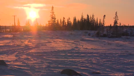 amanecer sobre la tundra congelada en el ártico 1
