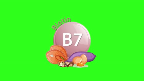 a round vitamin b7 biotin icon descends and settles above illustrated food sources, including nuts and vegetables, on a vibrant green background with smooth transitions