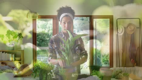 animación de plantas sobre una mujer biracial envasando plantas y vlogging