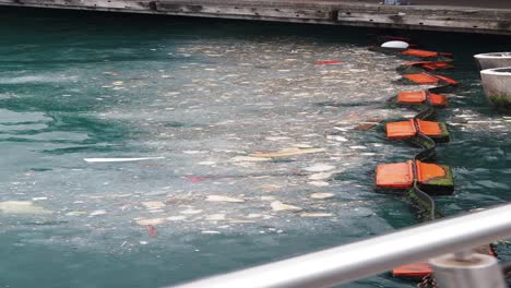 pollution in the ocean