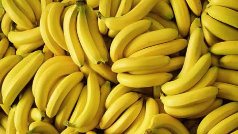 bunch of bananas. fruit background