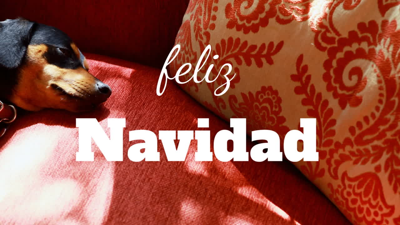 animación de feliz navidad felicitaciones de navidad texto sobre perro en el sofá rojo
