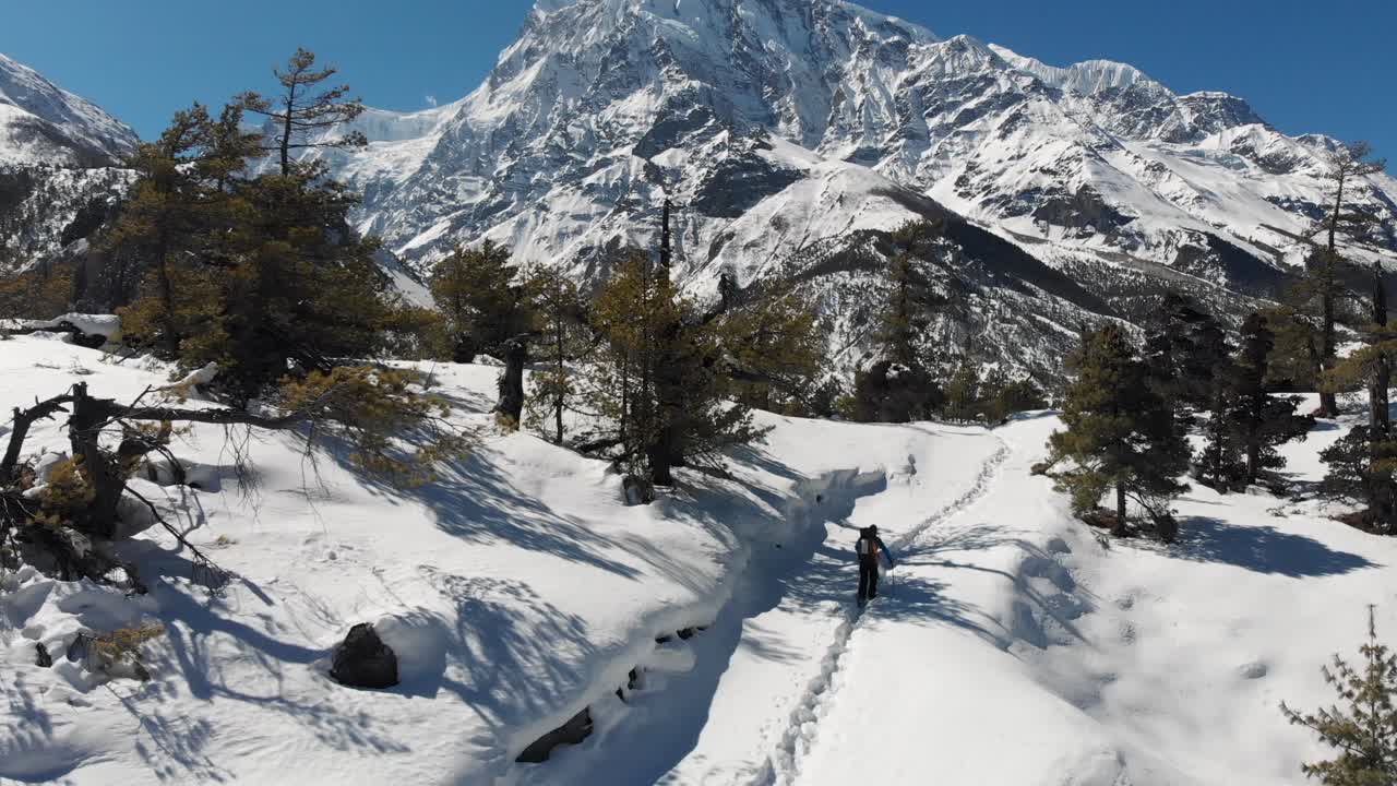 A solo trekker trekking through a snow trail in front of the himalayan range. Sunny day in winter. Annapurna Conservation Area, Manang Valley, Nepal. Aerial Drone shot rising up