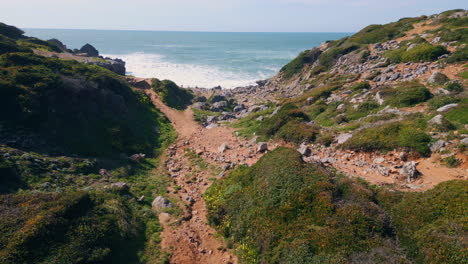 drone stony coast washing by beautiful endless ocean. summer marine landscape.